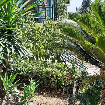 Apartment Sea View In Benitses With Terrace Or Balcony Benitses (Corfu)